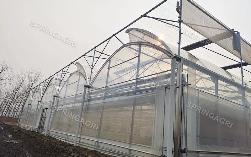 150 Micros PO Clear Film Жылыжай