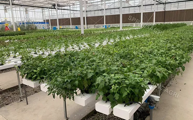 Тік NFT фермерлік гидропоникалық өсіру жүйелері